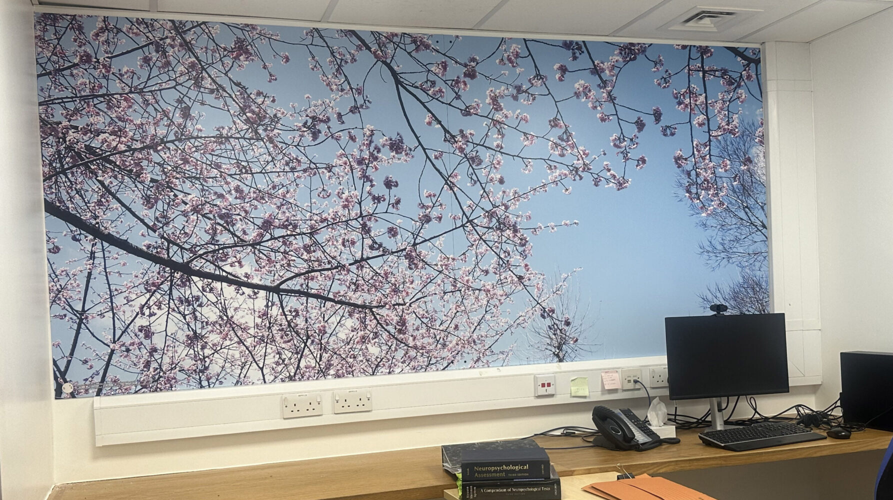 Sound Environments &mdash; Neuro Physiology/Psychology – King’s College Hospital